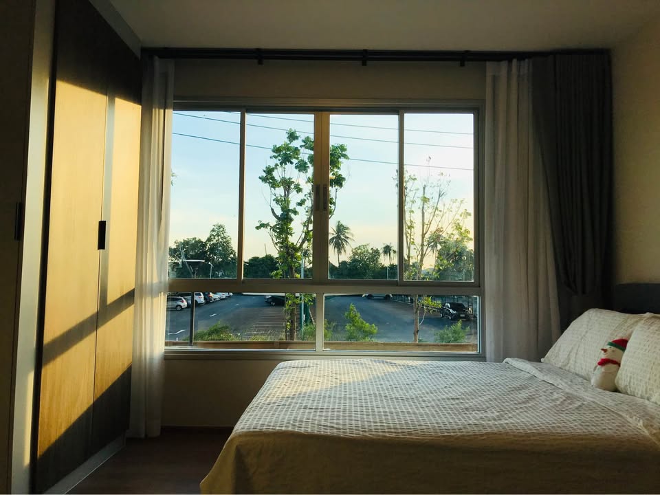 ให้เช่า คอนโด ดีคอนโด ธาร (Dcondo Tann)